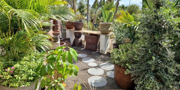 One of the most beautiful garden centres on Lanzarote
