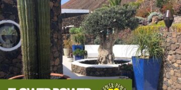 What can Flower Power do for my garden?