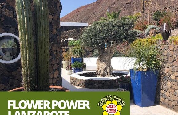What can Flower Power do for my garden?