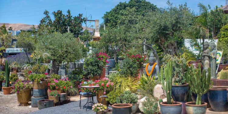 Garden shopping at Flower Power