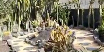 Flower Power garden revamp