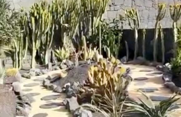 Flower Power garden revamp