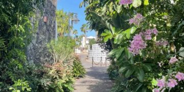 Flower Power garden work