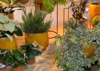 Garden decorations under one roof