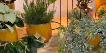 Garden decorations under one roof