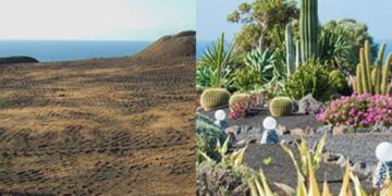 Garden landscaping Lanzarote