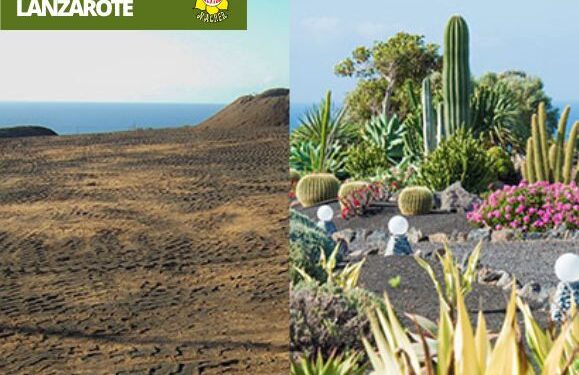 Garden landscaping Lanzarote