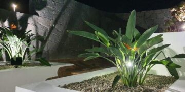 Lanzarote garden solar lights