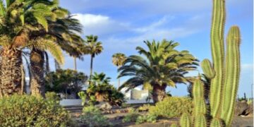 Teguise garden row
