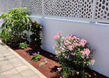 Lanzarote garden revamp