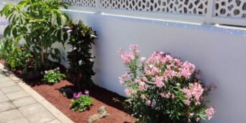 Lanzarote garden revamp