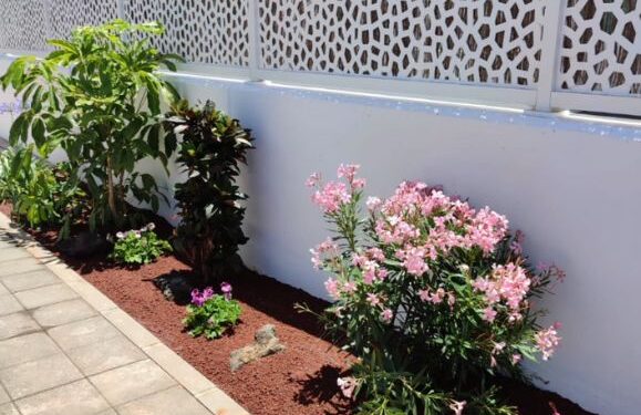 Lanzarote garden revamp