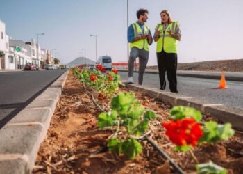 Arrecife Ayuntamiento plant 1,000 geraniums
