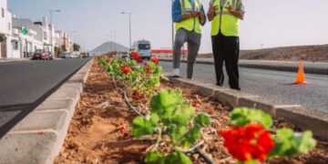 Arrecife Ayuntamiento plant 1,000 geraniums