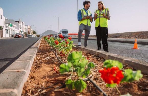 Arrecife Ayuntamiento plant 1,000 geraniums