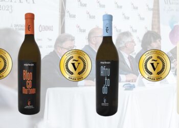 Three gold medals for Lanzarote wines at VinEspaña 2024