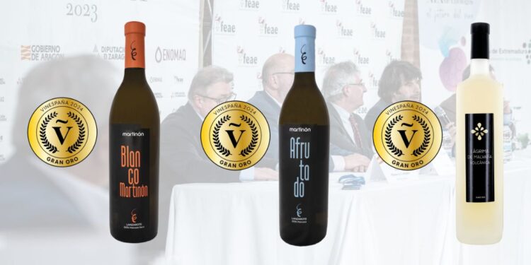 Three gold medals for Lanzarote wines at VinEspaña 2024