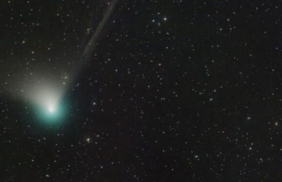 Green comet visible
