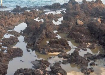 Haría stops swimming at Punta Mujeres after sewage spill