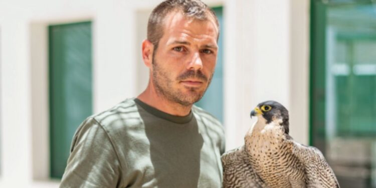 How Hawks make Lanzarote’s airport safer
