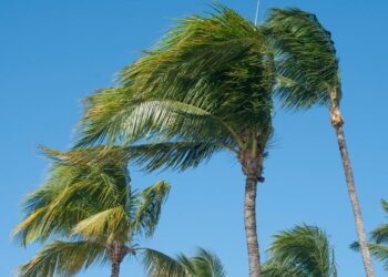 High wind speeds and rain forecast