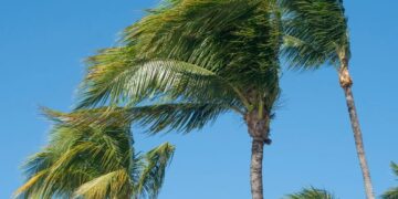 High wind speeds and rain forecast
