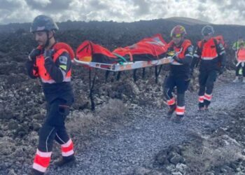 Firemen remove swarm of bees from garden in Costa Teguise