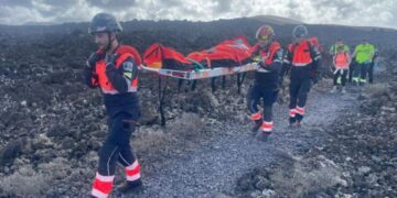 Firemen remove swarm of bees from garden in Costa Teguise