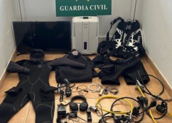 Holiday home thief arrested