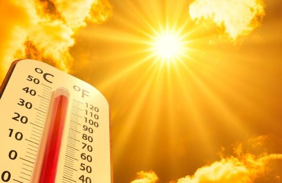 The hottest month ever recorded in the Canary Islands