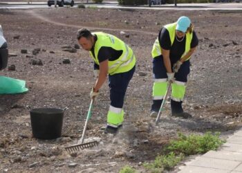 Tonnes of illegally dumped rubble cleared