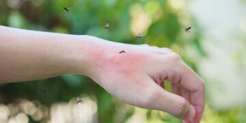 Insects you’ll find on Lanzarote