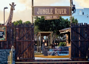 Welcome to the Jungle!