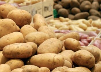 Know your spuds: a guide to Canarian potatoes