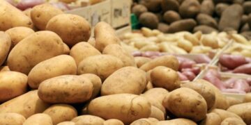 Know your spuds: a guide to Canarian potatoes