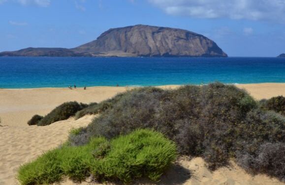 Step back in time