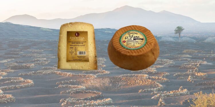 Lanzarote cheeses awarded at Campeonato del Salón Gourmets