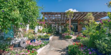 Lanzarote garden experts since 2006