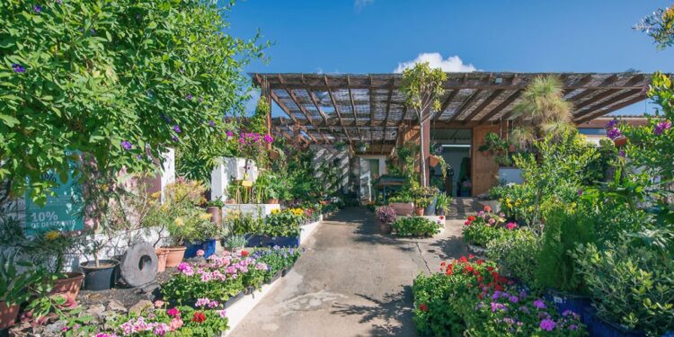 Lanzarote garden experts since 2006