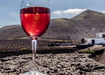 “Lanzarote wine prices to increase”