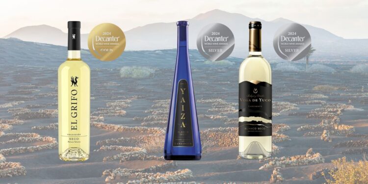 Three Lanzarote wines awarded at Decanter World Wine Awards