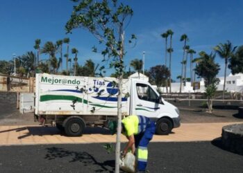 Tías solves issues with Linea Verde app
