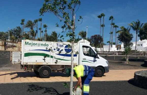 Tías solves issues with Linea Verde app