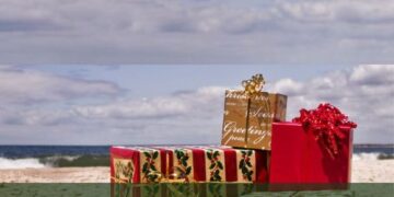 Best Christmas gift idea ever
