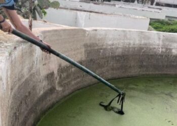 Man rescued after falling into sewage treatment facility in Arrecife