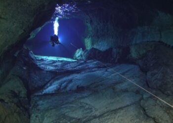 Cabildo say “no” to Naval dive request