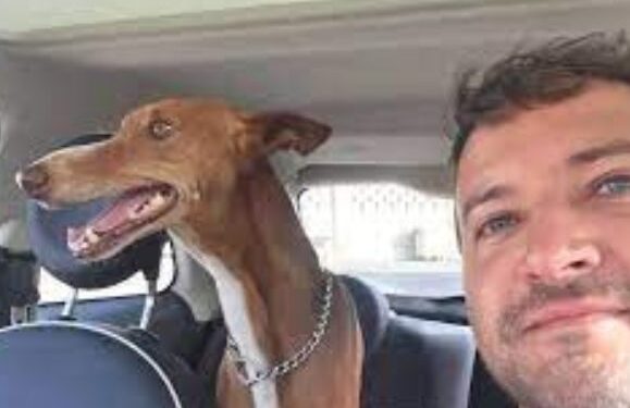 New Cabildo Animal Welfare Area