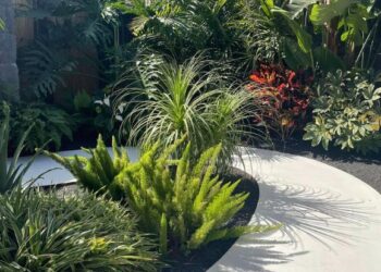 New plants in stock!