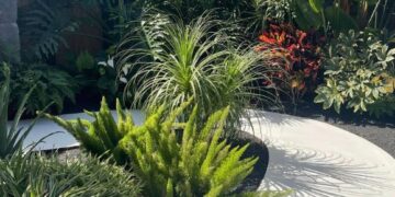 New plants in stock!