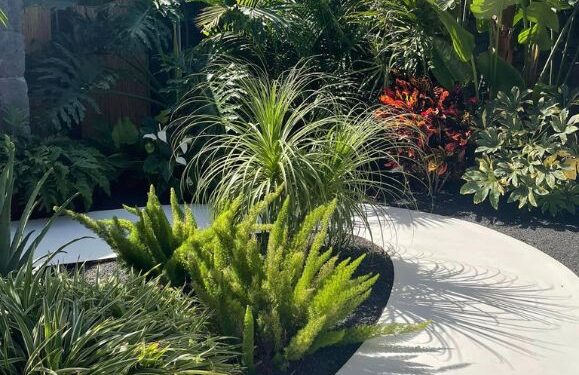 New plants in stock!